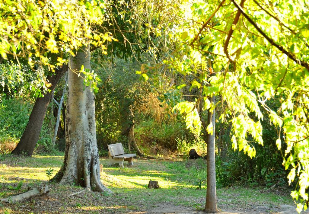 Komati River Chalets Komatipoort Buitenkant foto